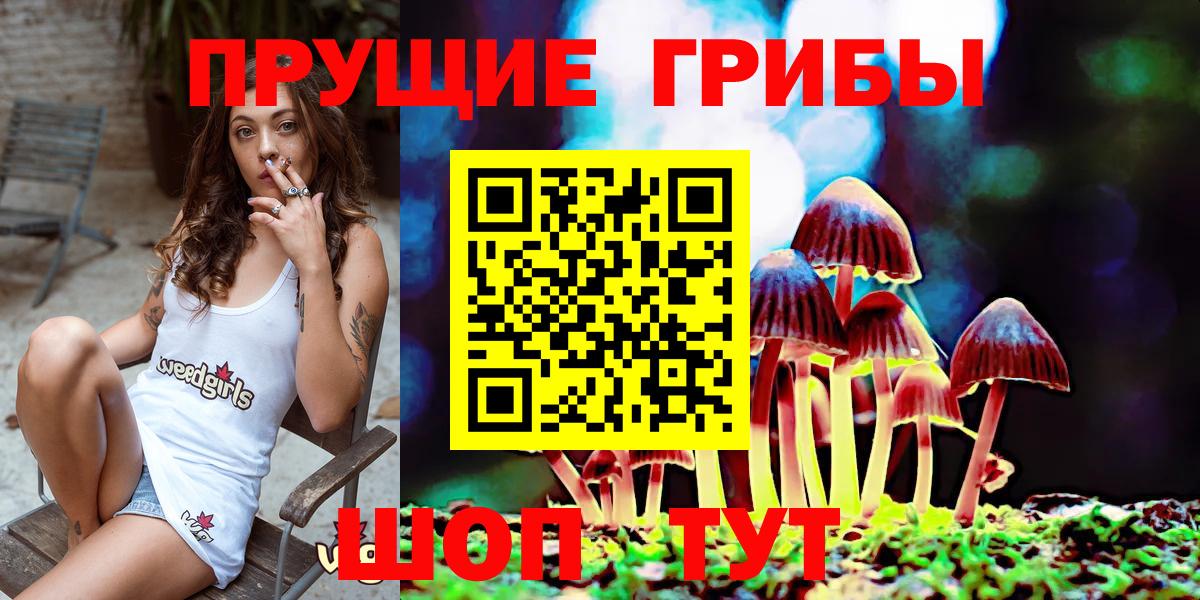 Галлюциногенные грибы ЛСД Луховицы